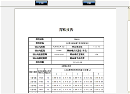 电梯荔枝视频APP免费下载观看黄版污自动探伤系统检测报告