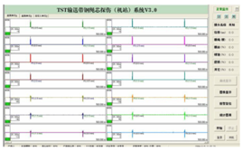 检测报告